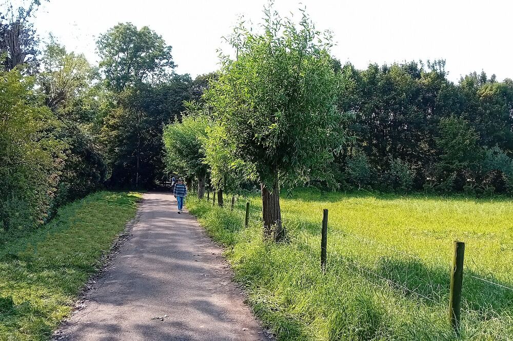 Zonnig smal pad langs knotwilgen en een grasland in het buitengebied van Heemskerk, met in de verte een wandelaar